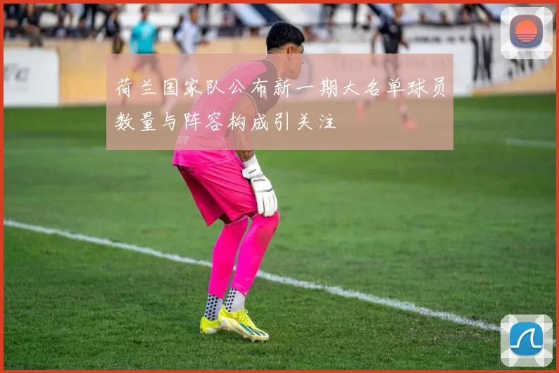 荷兰国家队公布新一期大名单球员数量与阵容构成引关注