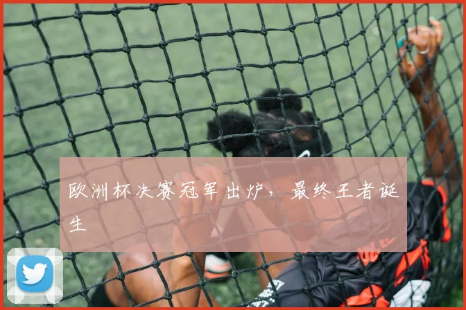 欧洲杯决赛冠军出炉,最终王者诞生