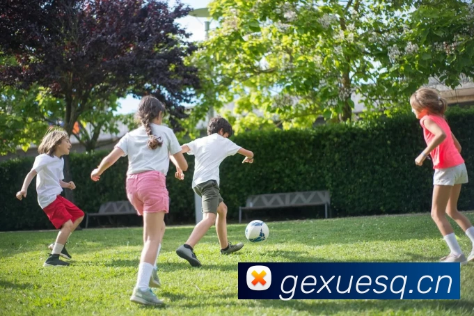 2018世界杯官网发展历程